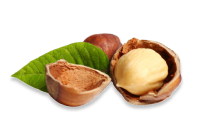 Hazelnuts"